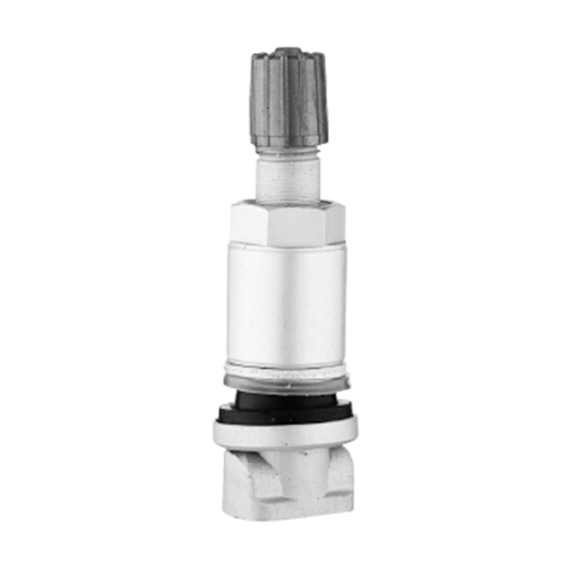 TPMS ভালভ-TPMS-01