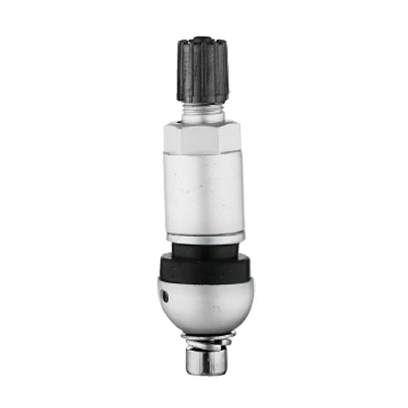 TPMS ভালভ-TPMS-02