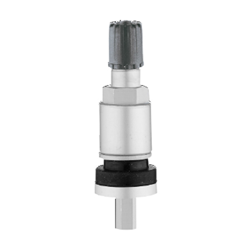 TPMS ভালভ-TPMS-04B