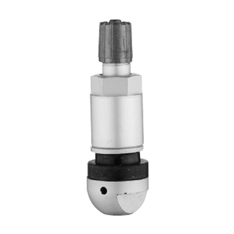 TPMS ভালভ-TPMS-05