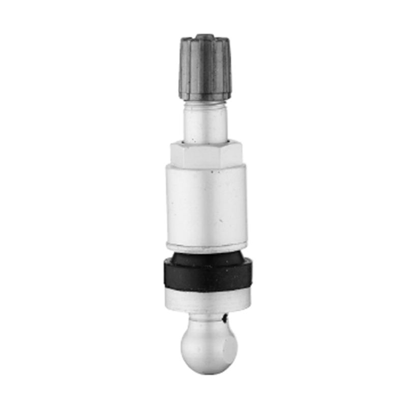 TPMS ভালভ-TPMS-07