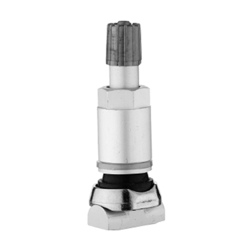 TPMS ভালভ-TPMS-08