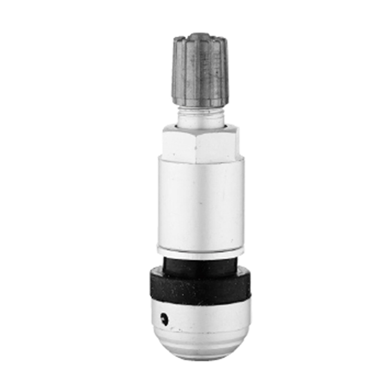 TPMS ভালভ-TPMS-09
